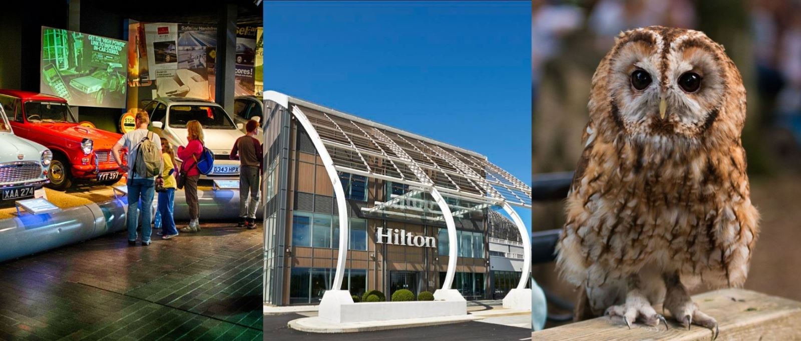 Win a spring break to Hampshire